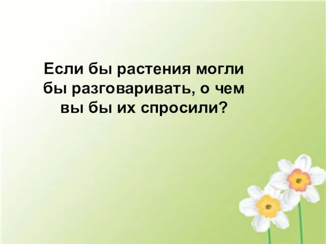 Если бы растения могли бы разговаривать, о чем вы бы их спросили?