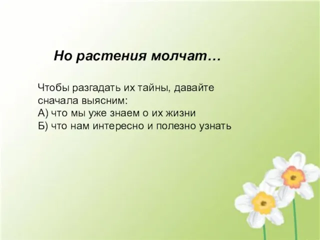 Но растения молчат… Чтобы разгадать их тайны, давайте сначала выясним: А) что