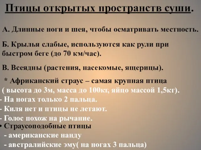 Птицы открытых пространств суши. А. Длинные ноги и шея, чтобы осматривать местность.