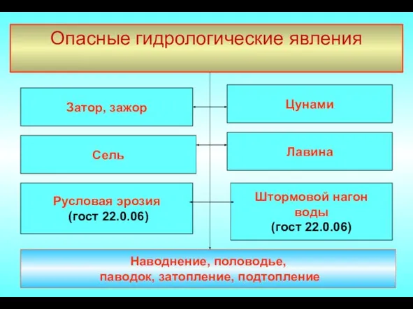 Опасные гидрологические явления Затор, зажор Сель Лавина Штормовой нагон воды (гост 22.0.06)