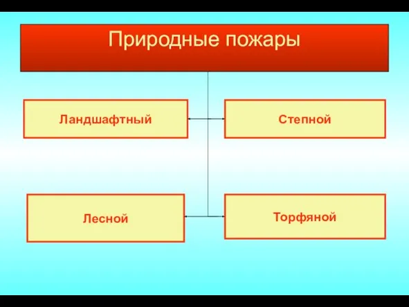 Природные пожары Ландшафтный Торфяной Степной Лесной