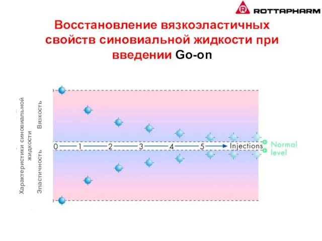 Восстановление вязкоэластичных свойств синовиальной жидкости при введении Go-on Эластичность Вязкость Характеристики синовиальной жидкости