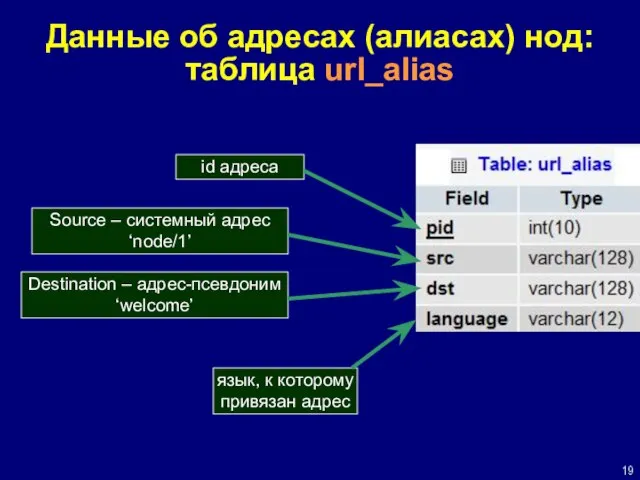 Данные об адресах (алиасах) нод: таблица url_alias Source – системный адрес ‘node/1’