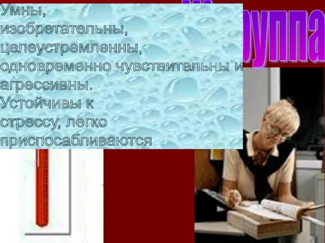 III группа Умны, изобретательны, целеустремленны, одновременно чувствительны и агрессивны. Устойчивы к стрессу, легко приспосабливаются