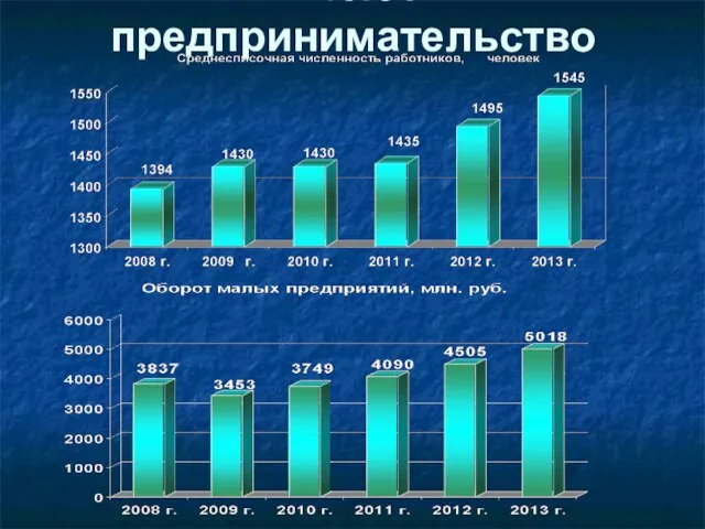 Малое предпринимательство