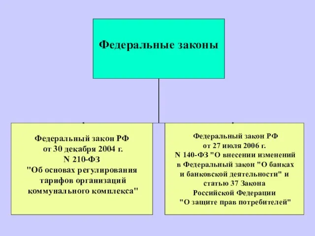 Федеральный закон РФ от 30 декабря 2004 г. N 210-ФЗ "Об основах