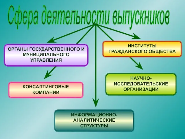 Сфера деятельности выпускников