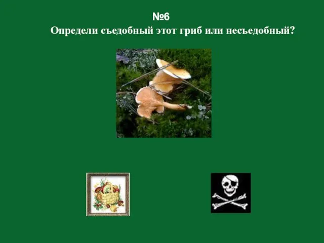 №6 Определи съедобный этот гриб или несъедобный?