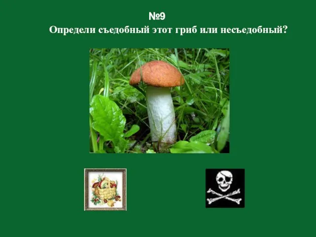 №9 Определи съедобный этот гриб или несъедобный?