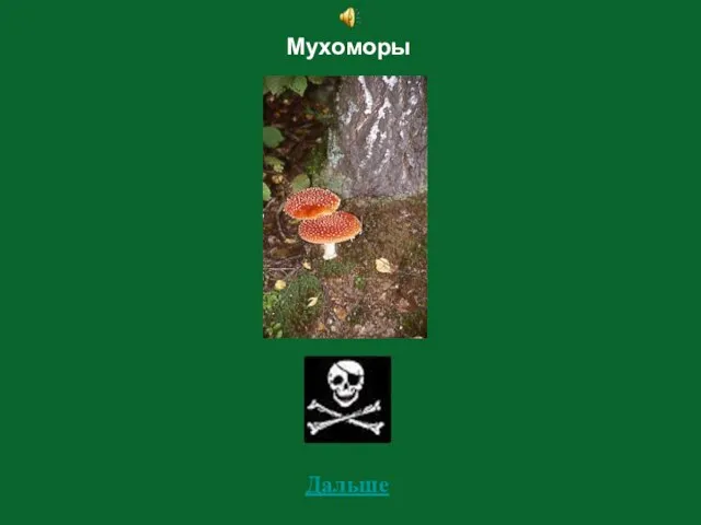 Мухоморы Дальше