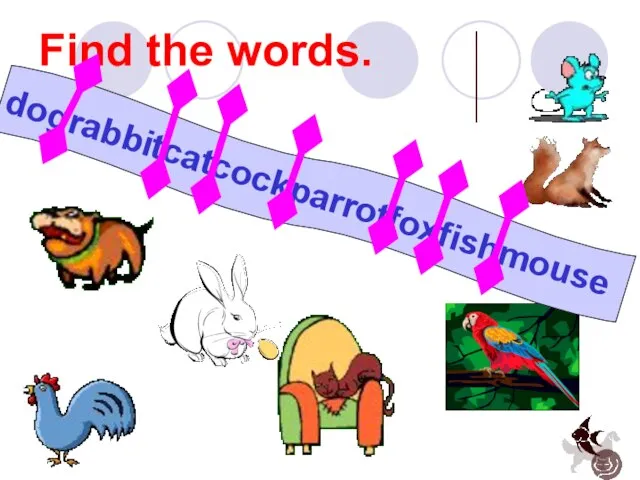 Find the words. dograbbitcatcockparrotfoxfishmouse
