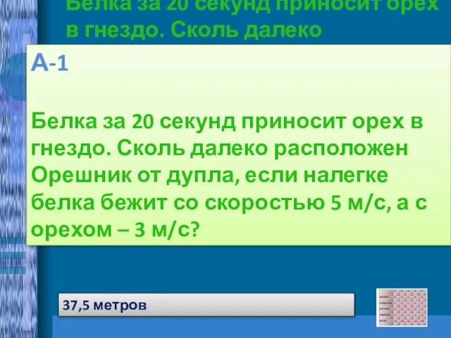 А-1 Белка за 20 секунд приносит орех в гнездо. Сколь далеко расположен