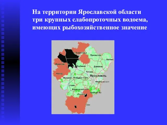 На территории Ярославской области три крупных слабопроточных водоема, имеющих рыбохозяйственное значение