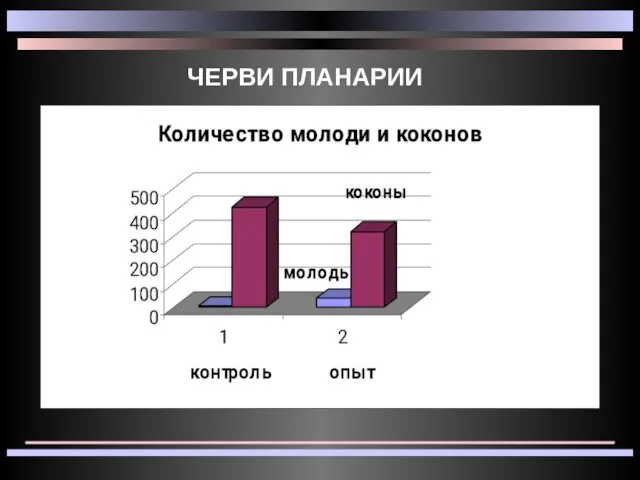 ЧЕРВИ ПЛАНАРИИ