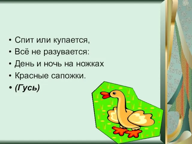 Спит или купается, Всё не разувается: День и ночь на ножках Красные сапожки. (Гусь)