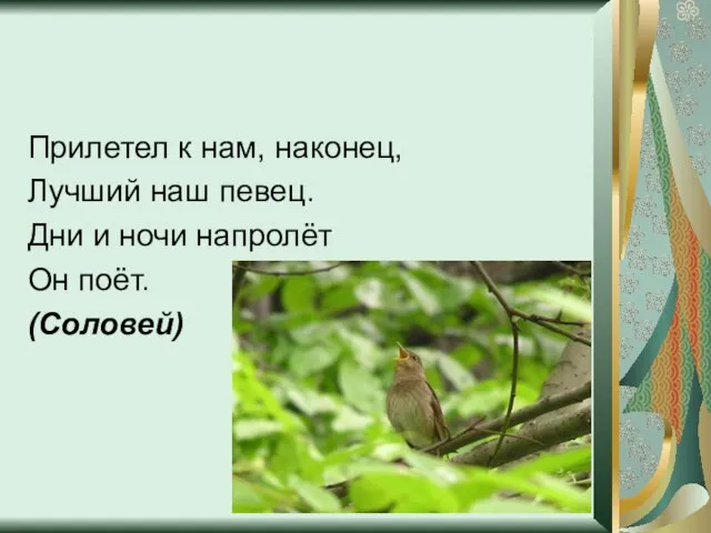 Прилетел к нам, наконец, Лучший наш певец. Дни и ночи напролёт Он поёт. (Соловей)