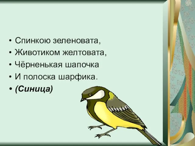 Спинкою зеленовата, Животиком желтовата, Чёрненькая шапочка И полоска шарфика. (Синица)