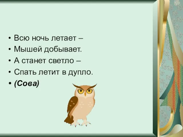 Всю ночь летает – Мышей добывает. А станет светло – Спать летит в дупло. (Сова)