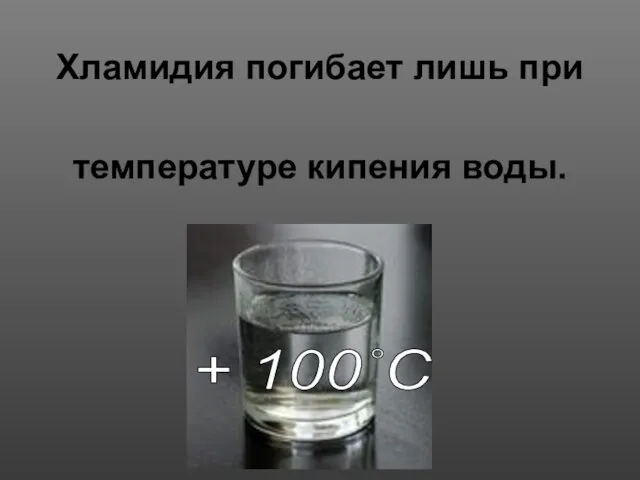 Хламидия погибает лишь при температуре кипения воды. + 100˚С