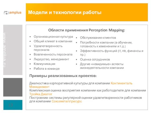 Модели и технологии работы Области применения Perception Mapping: Организационная культура Общий климат