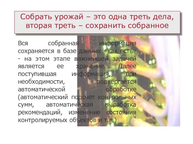 Собрать урожай – это одна треть дела, вторая треть – сохранить собранное