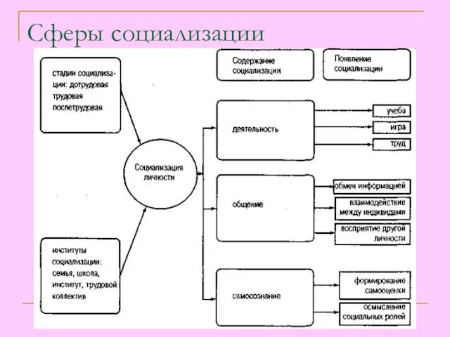 Сферы социализации