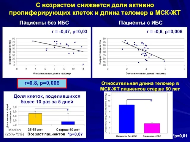 С возрастом снижается доля активно пролиферирующих клеток и длина теломер в МСК-ЖТ