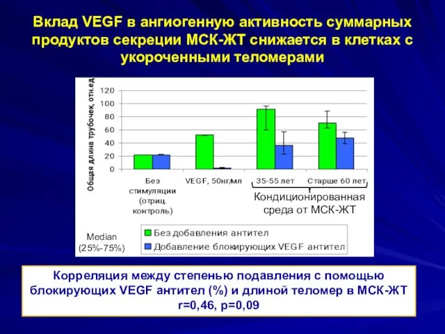 Вклад VEGF в ангиогенную активность суммарных продуктов секреции МСК-ЖТ снижается в клетках