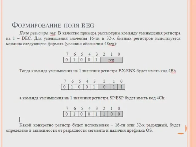 Формирование поля reg