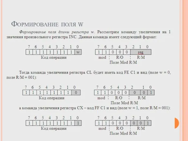 Формирование поля w