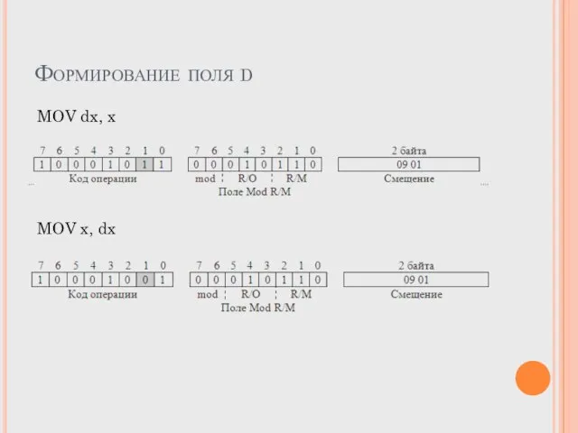 Формирование поля d MOV x, dx MOV dx, x