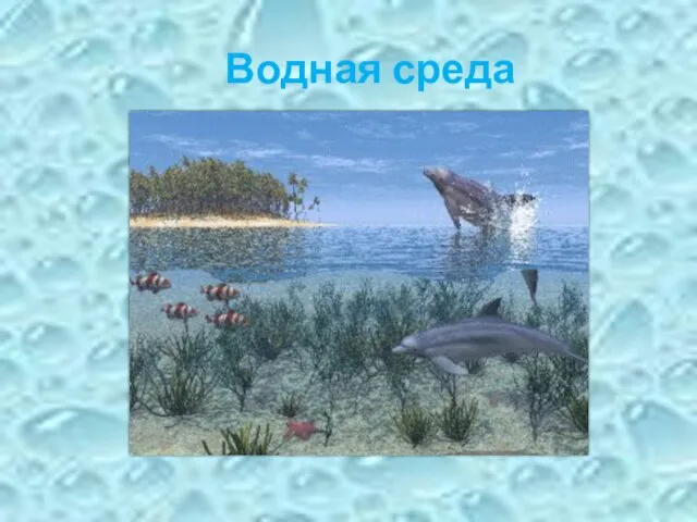 Водная среда