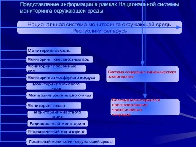 Представление информации в рамках Национальной системы мониторинга окружающей среды