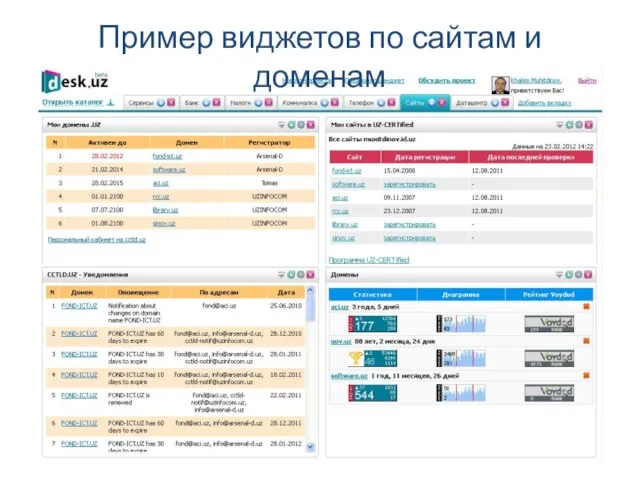 Пример виджетов по сайтам и доменам