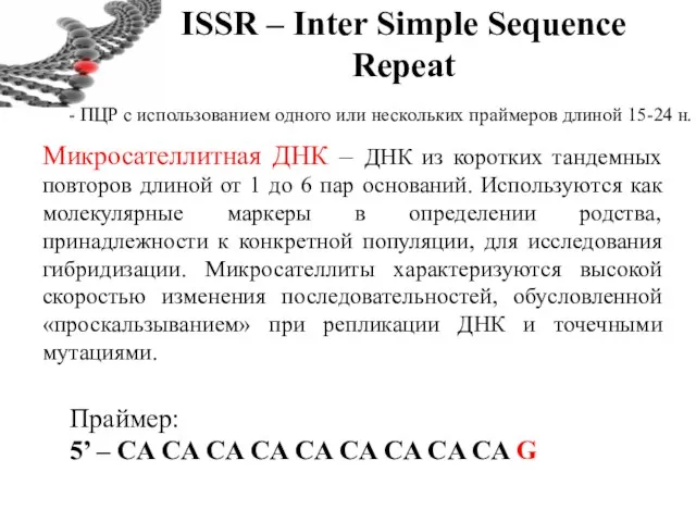 ISSR – Inter Simple Sequence Repeat - ПЦР с использованием одного или