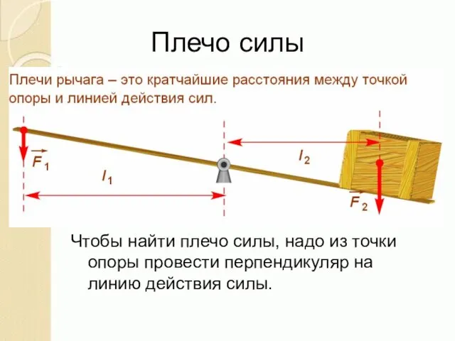 Плечо силы Чтобы найти плечо силы, надо из точки опоры провести перпендикуляр на линию действия силы.