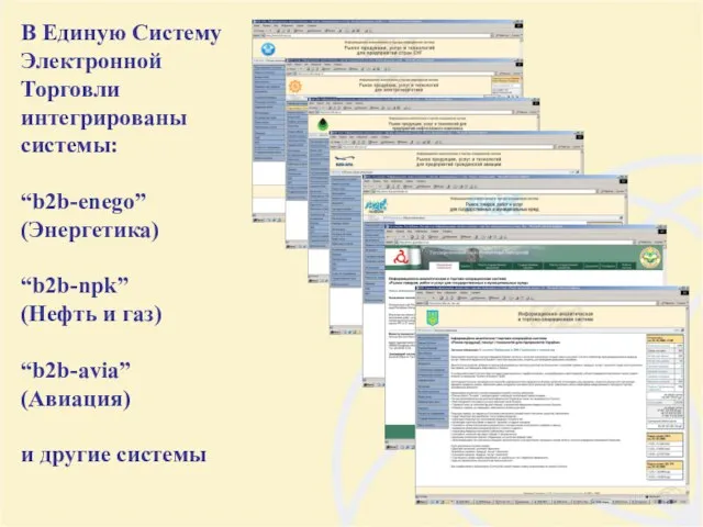 В Единую Систему Электронной Торговли интегрированы системы: “b2b-enego” (Энергетика) “b2b-npk” (Нефть и
