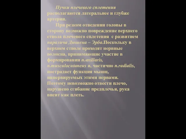 Пучки плечевого сплетения располагаются латеральнее и глубже артерии. При резком отведении головы