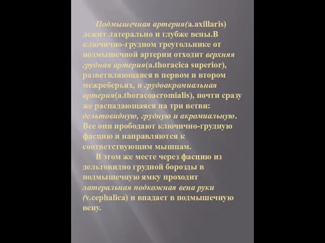 Подмышечная артерия(a.axillaris) лежит латерально и глубже вены.В ключично-грудном треугольнике от подмышечной артерии