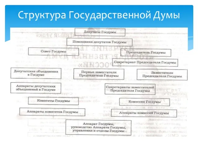 Структура Государственной Думы