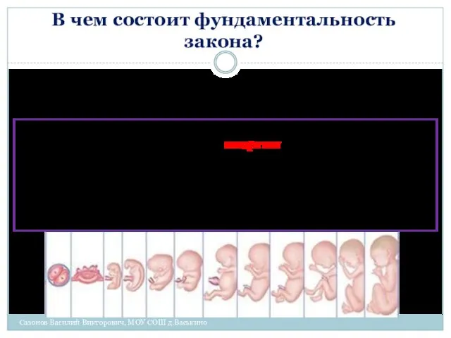 В чем состоит фундаментальность закона? Всего имеется 12 фундаментальных (всеобщих) законов природы.