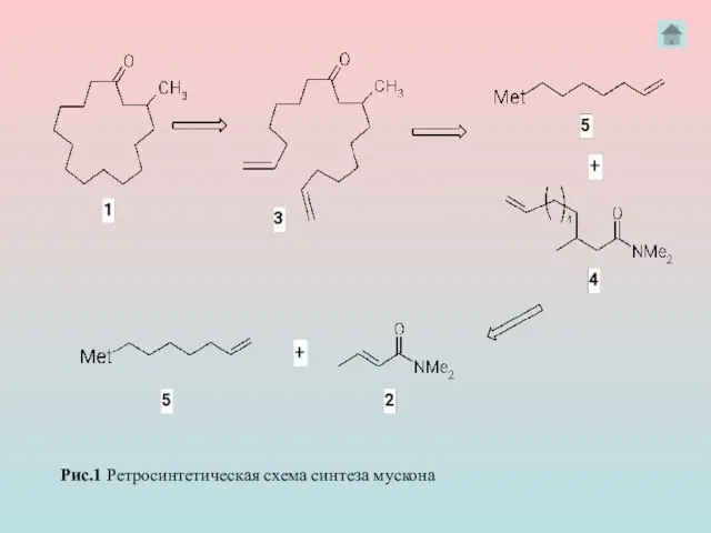 Рис.1 Ретросинтетическая схема синтеза мускона