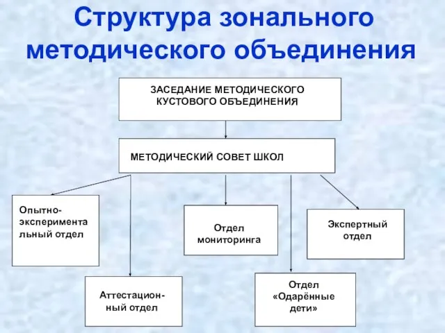 Структура зонального методического объединения