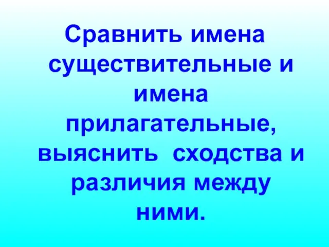 Сравнить имена существительные и имена прилагательные, выяснить сходства и различия между ними.