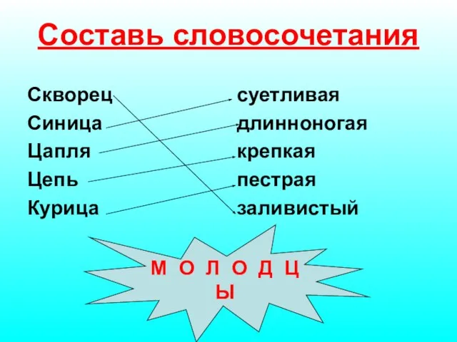 Составь словосочетания Скворец Синица Цапля Цепь Курица суетливая длинноногая крепкая пестрая заливистый