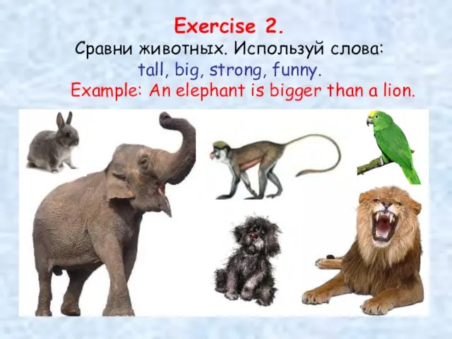 Exercise 2. Сравни животных. Используй слова: tall, big, strong, funny. Example: An