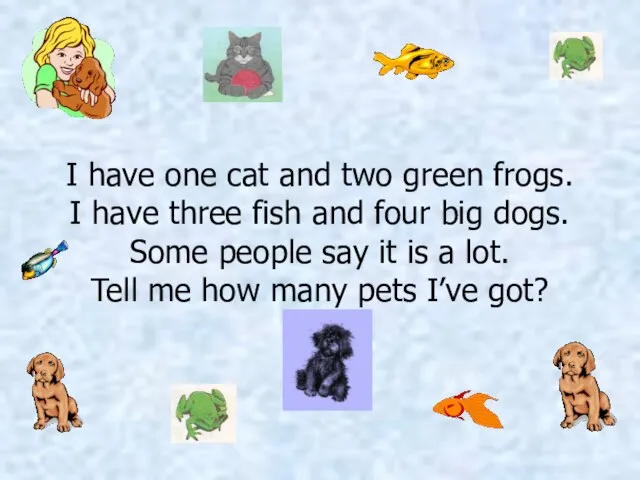 I have one cat and two green frogs. I have three fish