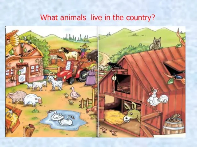 What animals live in the country?