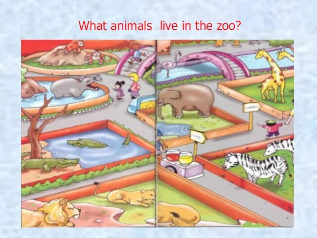 What animals live in the zoo?