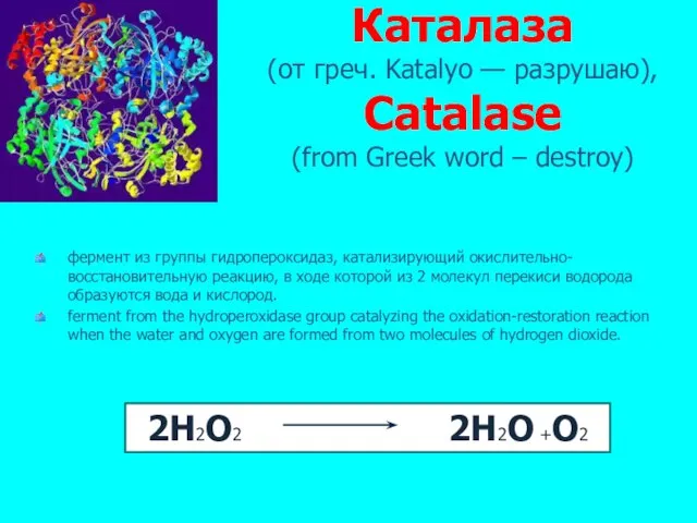 Каталаза (от греч. Katalуo — разрушаю), Catalase (from Greek word – destroy)